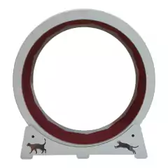 Rueda de Ejercicio en internet