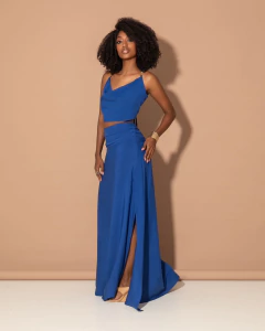 Saia Citrus na internet