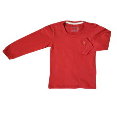 Camiseta Manga Longa Infantil Juvenil Blusa Basica 4 a 12 Anos - 6047B