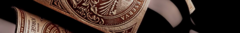 Banner de la categoría Vino Gran Reserva Bicentenario