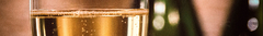 Banner de la categoría Espumante Finca Gabriel 