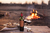 Privado Oasis Sur Malbec en internet