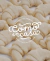 Carrusel Tribeca