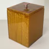 Lixeira dourado perolado com rosa matte
