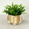 Vasinho em resina cristal Champagne com verdes valência