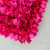 TAPETE EM CETIM 80x60 magenta