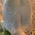 SHORT DOLL MLEV ATENA C/RENDA BRANCO - comprar online