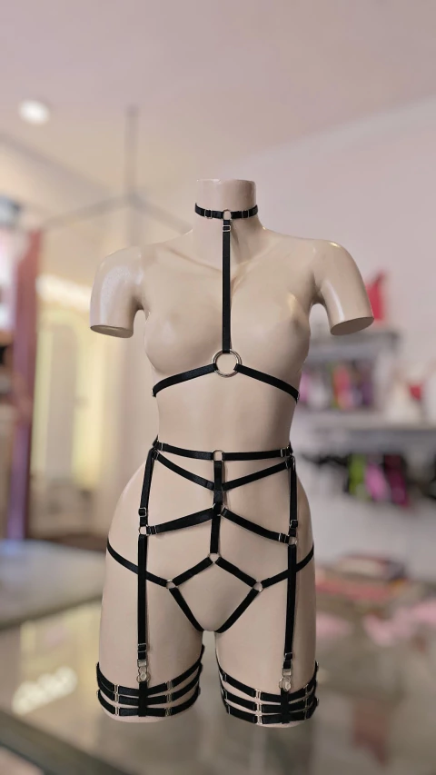 Set FULL arnés 2 - comprar online