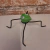 sapo-de-pular