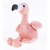Flamingo Orácio