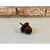 Imagem do Piorras Diversas