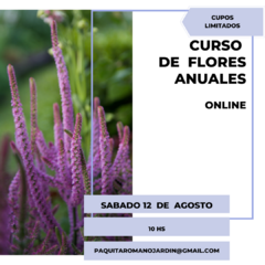 CURSO ONLINE DE FLORES ANUALES