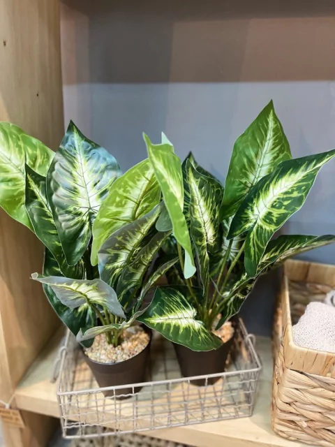 Planta Artificial Vera