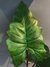 Planta Artificial - Mediana - comprar online
