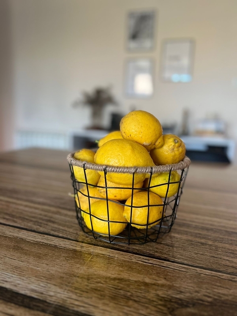 Canasta / contenedor Alberta