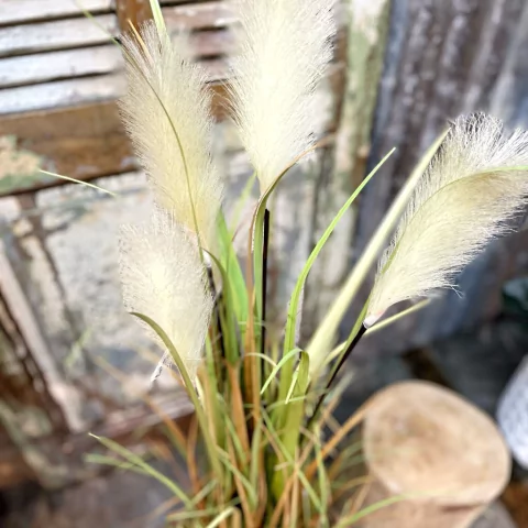 Planta Artificial Plumerillo