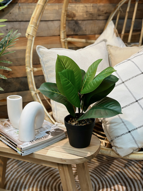 Plata Artificial #36