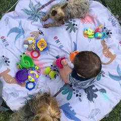 ALFOMBRA JUGUETERA DINOS - tienda online