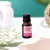 ACEITES AROMATIZANTES - Tiendakuz