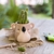 ANIMALITOS DE CERÁMICA - comprar online