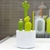 SET DE CEPILLOS CACTUS