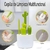SET DE CEPILLOS CACTUS - comprar online