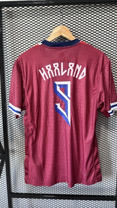 Camiseta Noruega 2024/25´ ~ Haaland 9 en internet