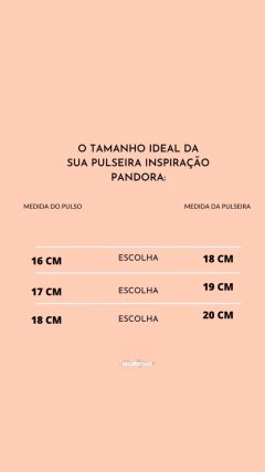 pulseira de berloques insp pandora em aço inox - comprar online