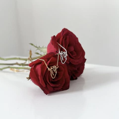 Colar coração humano