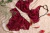 Set ariadna - comprar online