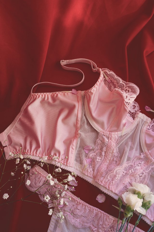 Corset La Vie En Rose thumbnail 2