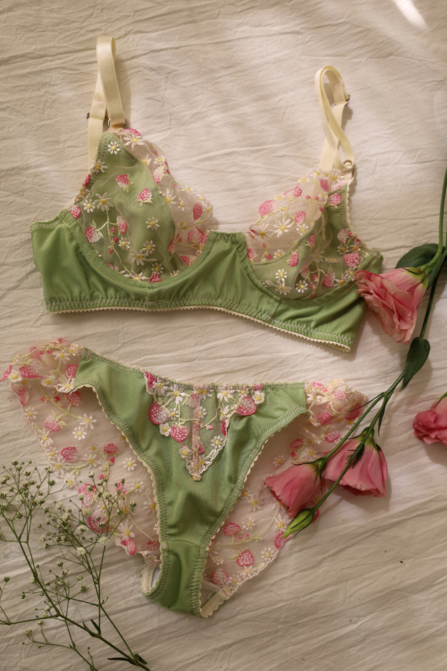 Set Fragaria thumbnail 2