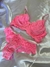 Conjunto de Lingerie em Renda Rosa Neon Sutia sem bojo e aro - Vicky