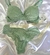 Conjunto de Lingerie Verde em Renda Sutia com bojo e aro - Carmel