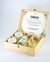 BOX GIN GINKO - Panella OnLine