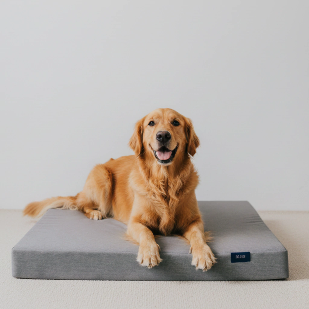 COLCHON 100% LAVABLE PARA MASCOTAS | NOVEDAD