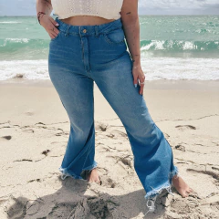 Jean ARIEL en internet