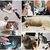 Cepillo de aseo para gatos y perros - tienda online
