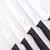 Set de cuchillos x5 piezas Essencial -TRENTO - Pensel Store