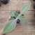 Kalanchoe Gastonis-bonnieri (orelha de burro) (pote 09)