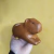 Vaso de cerâmica capivara