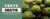 Imagem do banner rotativo 2