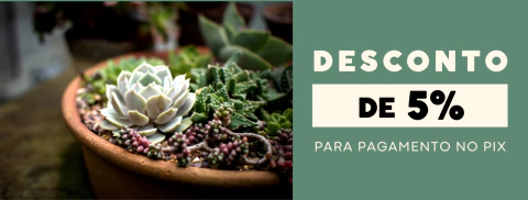 Imagem do banner rotativo 1