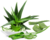 Por que Aloe Vera Forever?
