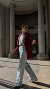 BLAZER GEMINIS