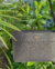 CARTERA en internet