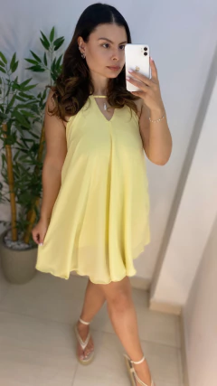 Macaquinho Gabrielle na internet