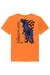 Camiseta em Meia Malha Tyranosaurus Rex Laranja Luc.Boo - comprar online