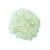 Cebollas IQF en cubos - comprar online