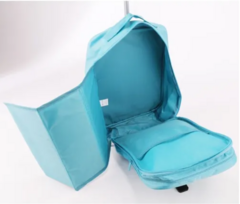 Organizador Shoes Mediano Celeste en internet